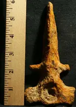 unknown1.webp