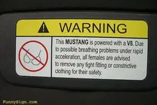 warning-this-mustang.webp