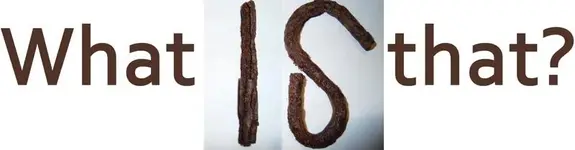 boredsilly.webp