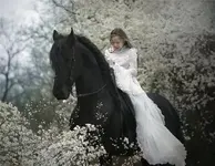 Girl and horse.webp