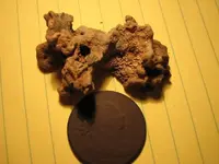 IMG_8788_1_1.webp