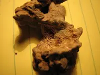 IMG_8790_1_1.webp