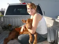 newcalf1.webp