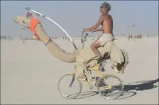 cameljockey.webp