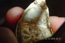 Inside of ring.webp