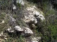 Quartz Vein (Maybe Roscoelite) Mica with Gold 012.webp