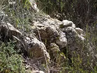 Quartz Vein (Maybe Roscoelite) Mica with Gold 013.webp