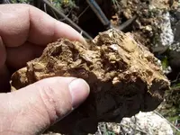 Quartz Vein (Maybe Roscoelite) Mica with Gold 025.webp