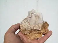 Quartz Vein (Maybe Roscoelite) Mica with Gold 040.webp