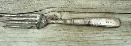 fork.webp