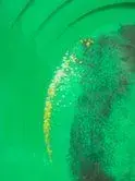 gold in pan 1.webp