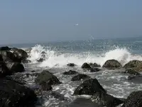 2009 fort flagler e.webp