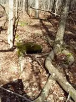 cistern1.webp