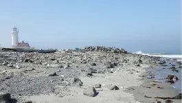 beach light house e.webp
