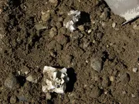 DSCN0208.webp