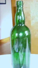 DSCN0268.webp