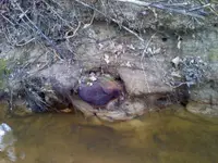 03090017277.webp