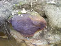 0309001727aa.webp