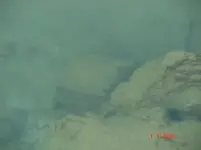 treasurebox2.webp