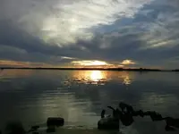 000_0005.webp