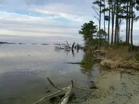 000_0006.webp