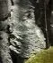 owl.webp
