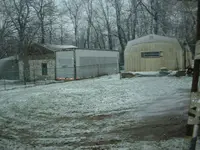 Picture 019.webp