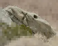 dinohead1.webp dinohead1.webp
