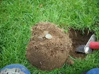 DSCN0983.webp