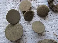buttonsdirty.webp