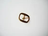 NAP-brass%20buckle%20belt%20width%2025%20mm.webp