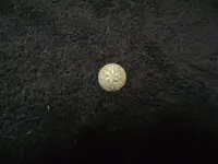 butt 007.webp