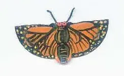 butterpin-.webp