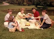 picnic.webp