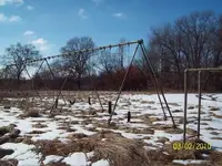 Swings.webp