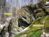 arrow_head Merged.webp