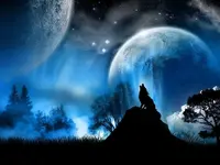 MidnightLoneWolf.webp