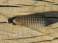 2010_0316Image0028.webp
