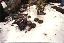 Ñ�ÐºÐ°Ð½Ð¸Ñ€Ð¾Ð²Ð°Ð½Ð¸Ðµ0018.webp
