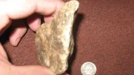 rock 035.webp