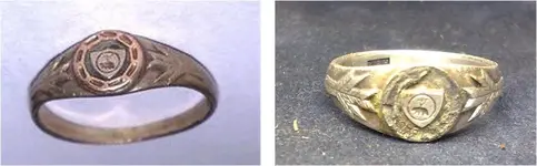 LL_rings.webp