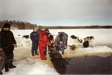 Ñ�ÐºÐ°Ð½Ð¸Ñ€Ð¾Ð²Ð°Ð½Ð¸Ðµ0009.webp