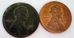 penny 001.webp