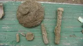 junk 003.webp