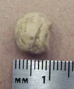 Ball2.webp