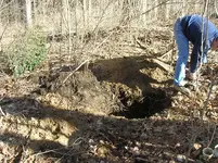 Dig Me #1.webp