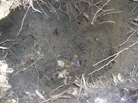 Dig Me #4.webp