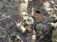 Dig Me #6.webp