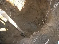 Dig Me #10.webp