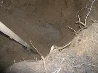 Dig Me #11.webp